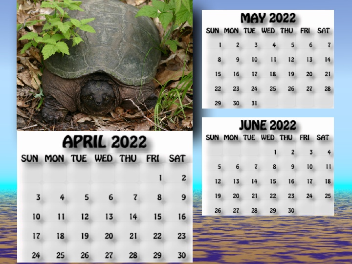 April, May, June 2022 calendar