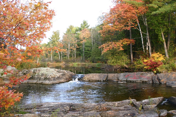 Autumn colours McDonald River on the other side of the highway 