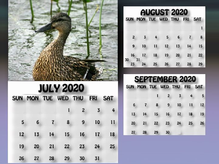 July, August, September 2020 calendar