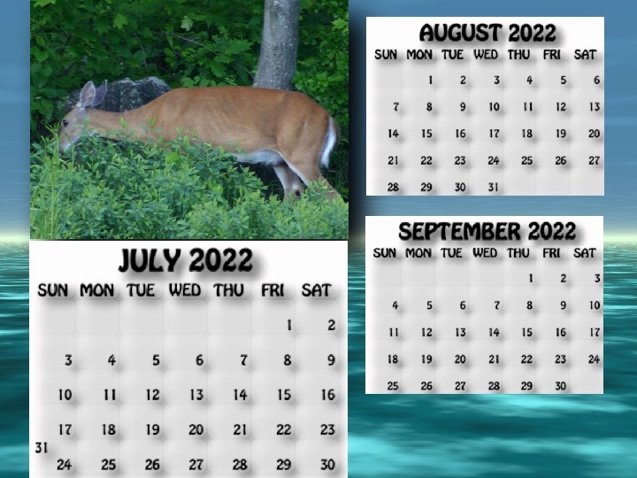 July, August, Sept 2022 calendar