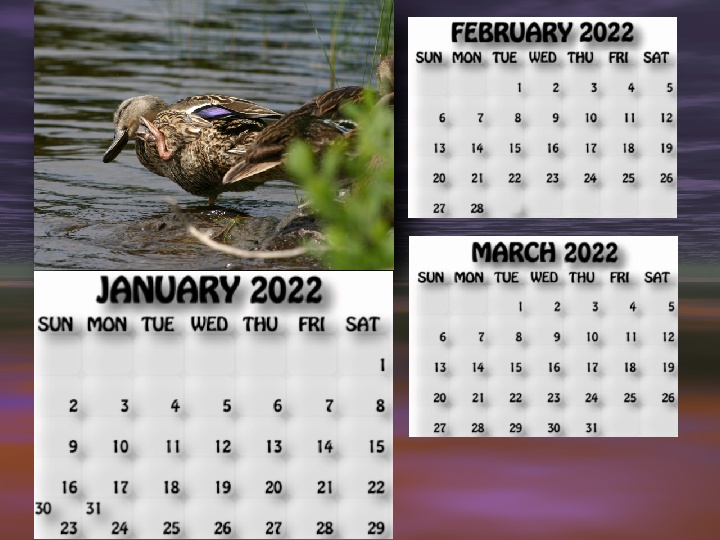 January, February, March 2022 calendar