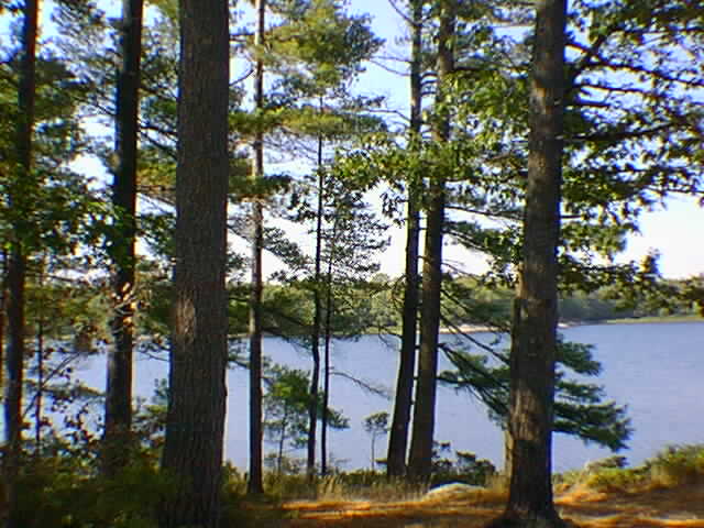 View from McCrae Island.