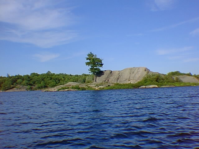 elephant.jpg 640x480