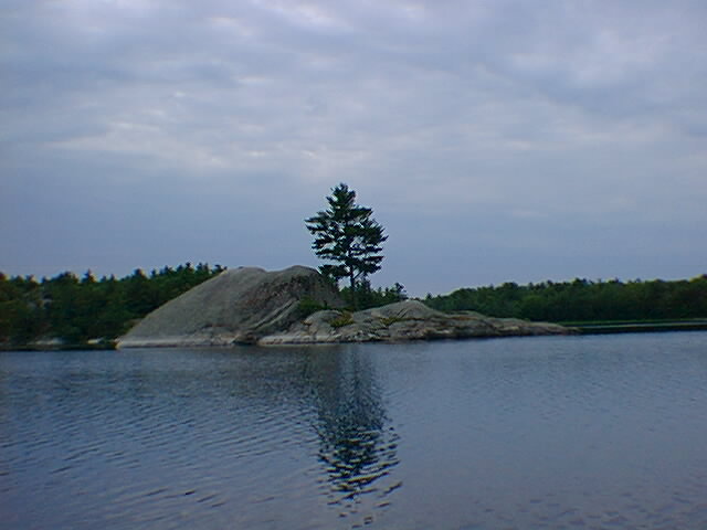 elphant2.jpg 640x480