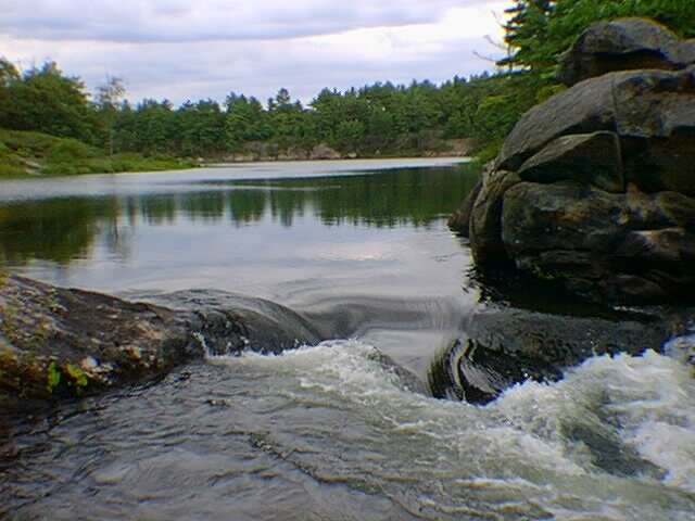 rapids1a.jpg 640x480