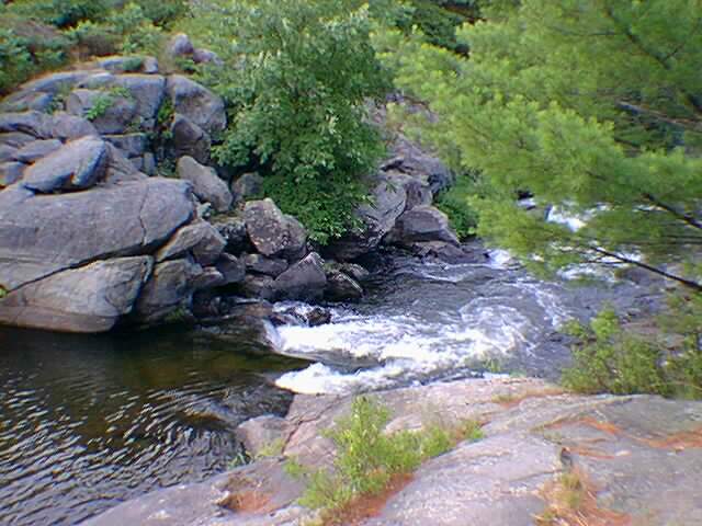 rapids3.jpg 640x480