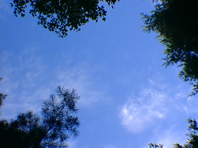 sky.jpg 640x480