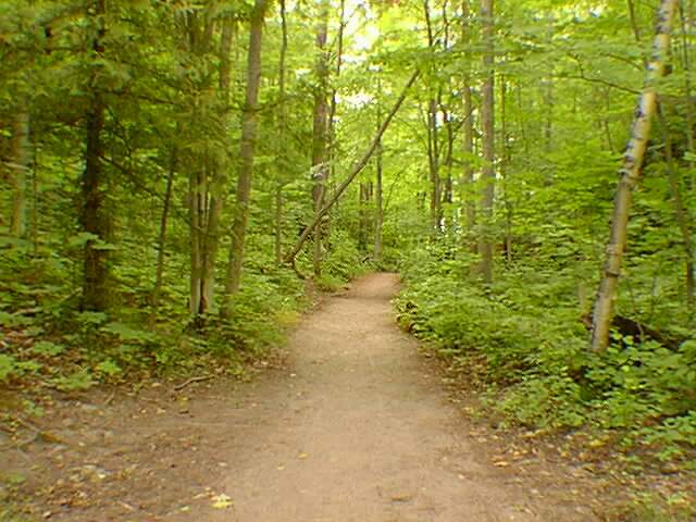 trail2.jpg 640x480