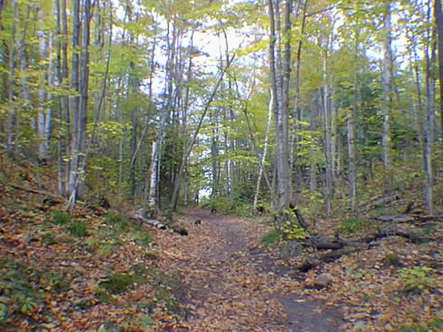 trail3.jpg 640x480