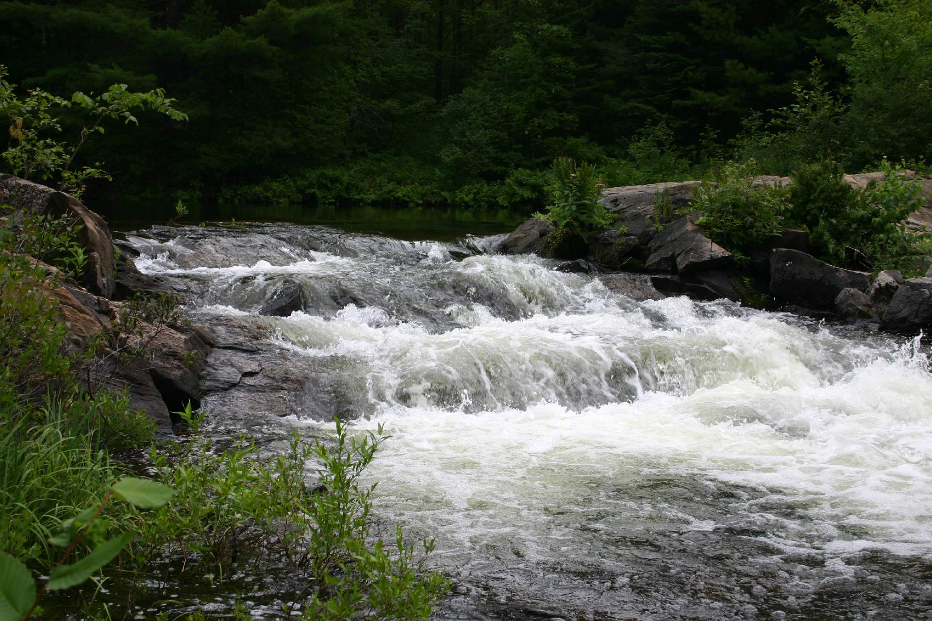 McDonald River east of the highway.